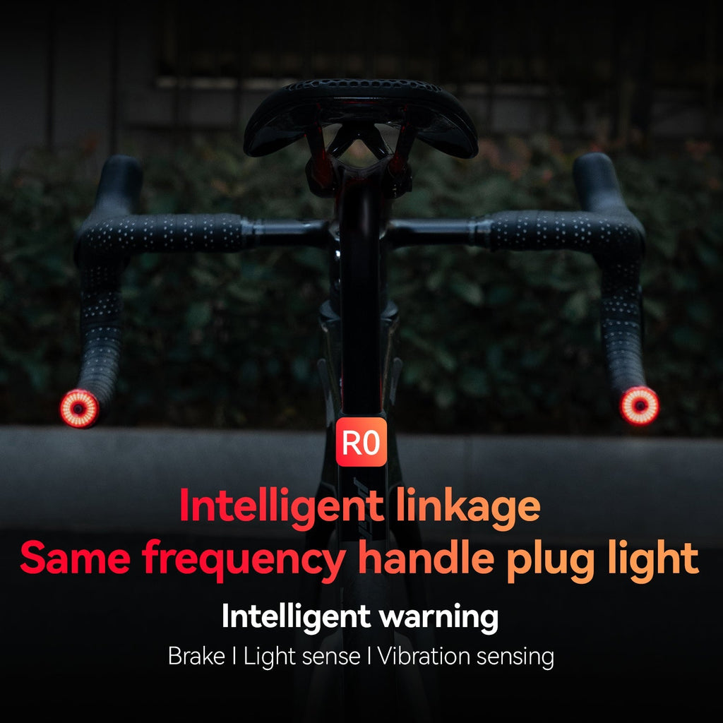 ROCKBROS R0 Smart Brake-Sensing Bike Tail Light