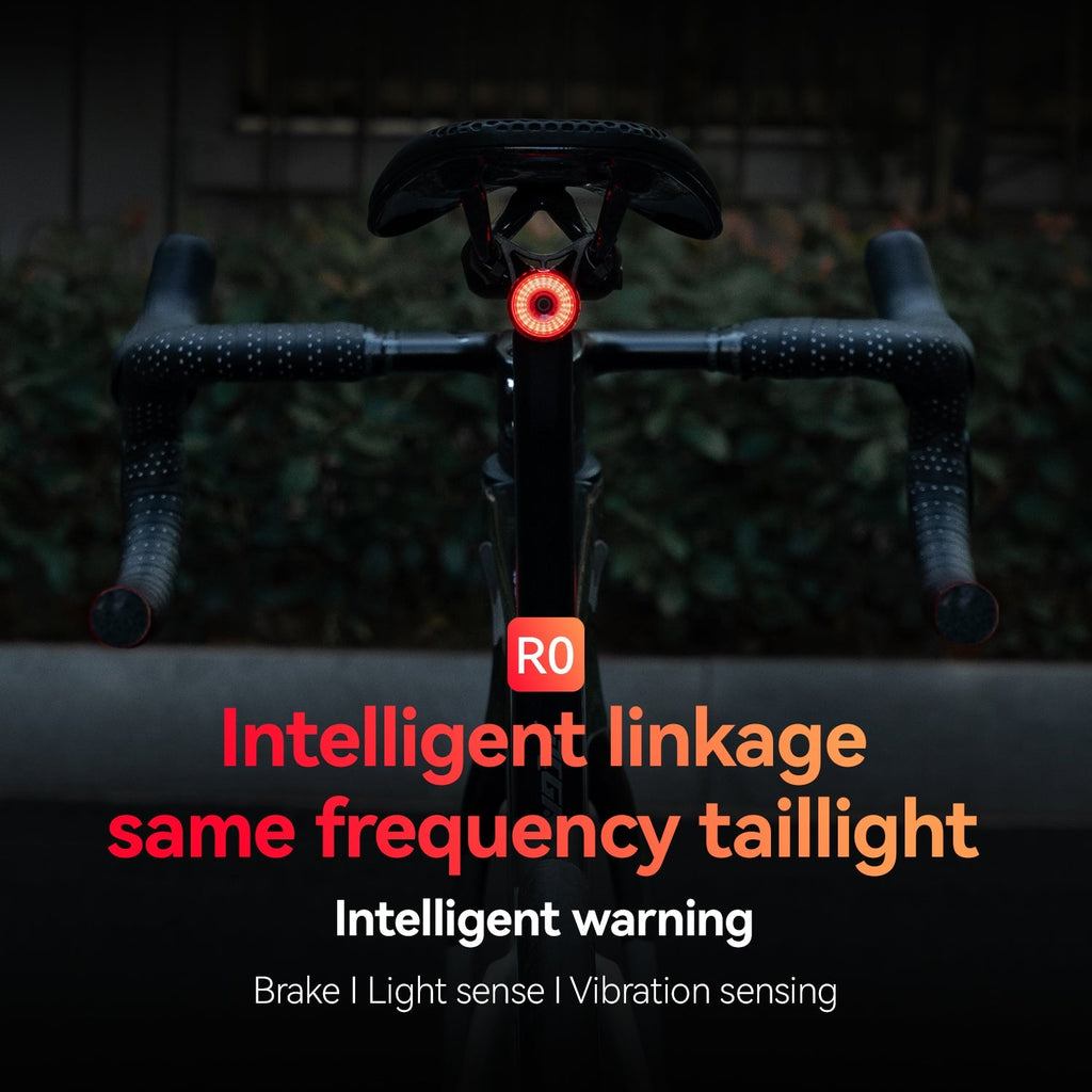 ROCKBROS R0 Smart Brake-Sensing Bike Tail Light